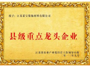 县级重点龙头企业